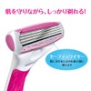 Schick Schick Quattro 4 for Woman Holder with 2 Replacement