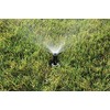 Rain Bird 1802Q Professional Pop-Up Sprinkler, 90° Quarter Circle Pattern,