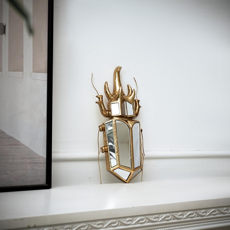 Xinleitan Decorative Bug and Dragonfly Mirrors - Gold Resin and