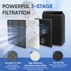 BIHARNT 5510 5520 Replacement Filter Q Compatible with Winix 5510