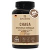 Bandini® Chaga 366 Tablets | On the Mushroom Inonotus Obliquus,