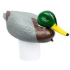 Poolmaster Adustable Chlorine Dispenser for Swimming Pools and Spas, Mallard
