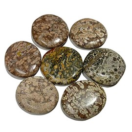 KRIO KRIO? - 1 x Flacher Edelstein Scheibenstein Handschmeichler Therapiestein Schmuckstein (Leopardenjaspis)