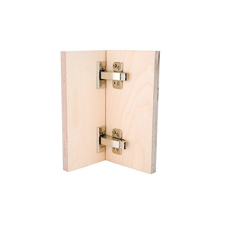 Blum Clip Top 110 Degree Full Overlay Hinge with BLUMOTION