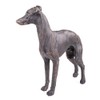 Large Greyhound Dog Painted Bronze Resin Sculpture - Pet Gifts