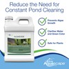 Aquascape 96026 Algaecide for Pond, Waterfall, and Water Features, 1-Gallon