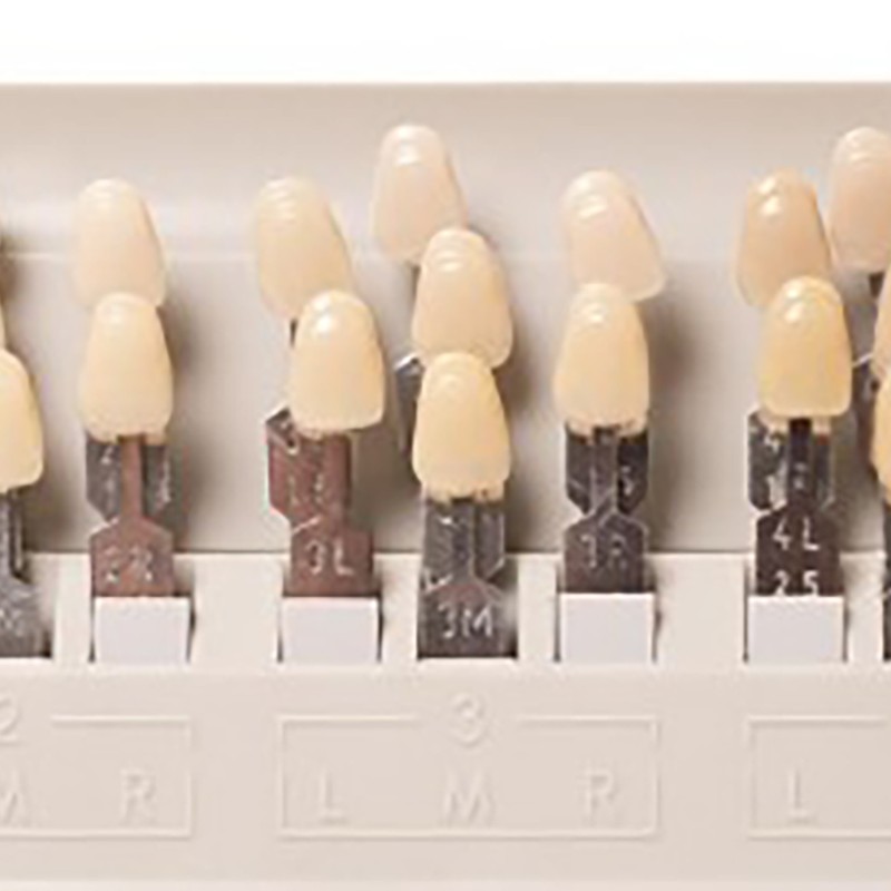 Teeth Whitening Shade Guide 29 Colors Comparison Individually Removable Tooth