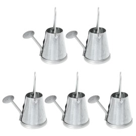 VICASKY 5PCS Watering Can for Indoor Plants, Stainless Steel Watering Can Mini Small Watering Can for Mini Teapot Galvanized, with Showerhead Design