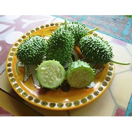 West Indian Gherkin (Cucumis Anguria) Burr Cucumber, 100~vegetable Seeds, Heirloom