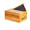 MayBee Hives Unassembled 8/10 Frame Deep Bee Box BeesWax Coated