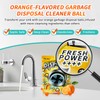 ifbaby 50 Count Garbage Disposal Cleaner and Deodorizer – Sink