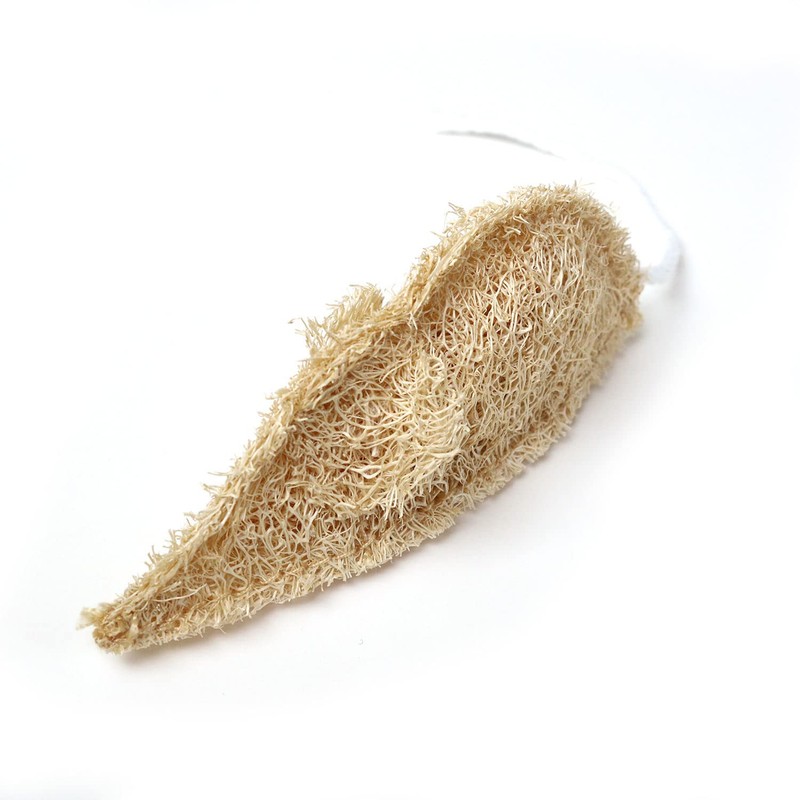 CattyMan Nyan Dent Loofah Toothpaste, Mouse x 3 Pieces