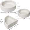 Reptile Food Water Bowl Set Lizard Feeder Ceramics Bowls Worm