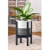 D'vine Dev Ceramic Planter with Ebony Stand - 8 Inch