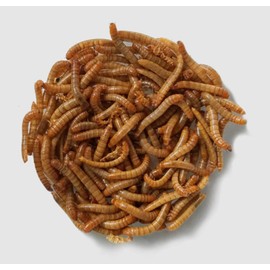 Backyard Seeds Dried Mealworms 12 Ounces
