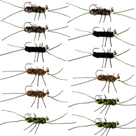 The Fly Fishing Place Tungsten Bead Jigged Pat's Rubber Legs Nymph Assortment Fly Fishing Flies - Trout and Bass Wet Fly Pattern - 12 Flies Hook Size 10