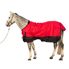 1200Denier Waterproof and Breathable Horse Sheet TGW RIDING Horse Blanket Standard Neck Turnout Sheet (82", Red)