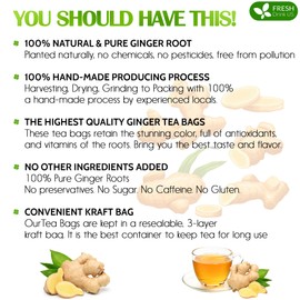FreshDrinkUS, 150 Premium Ginger Tea Bags, Non GMO, 100% Natural & Pure from Ginger Root, Root Herbal Tea. No Sugar, No Caffeine, No Gluten, Vegan. Support Stronger Digestion, Pleasantly Spicy & Warming