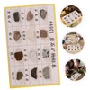 Hohopeti 12-Piece Mineral Rock Specimen Kit for Collection Geology Classroom