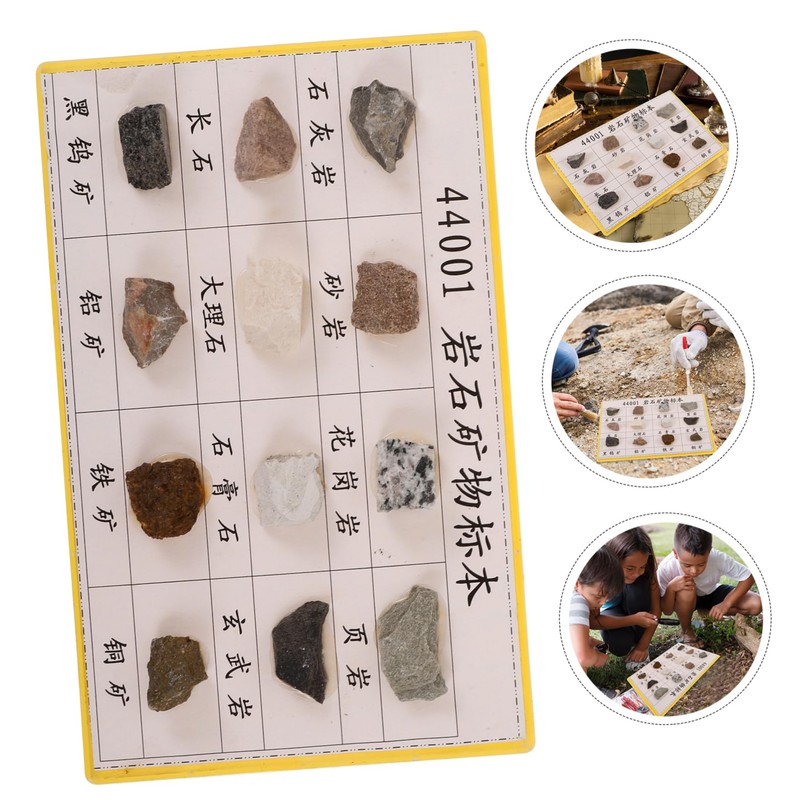 Hohopeti 12-Piece Mineral Rock Specimen Kit for Collection Geology Classroom