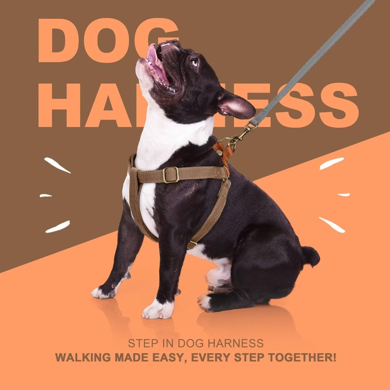 Didog Step in Dog Harness with Metal Buckles, Freedom Nylon