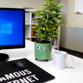 Fisura - Original Flower Pot Eye Design. Decorative Indoor Planter. Pot with Legs for Cactus. Green Ceramic Pot for Flowers and Succulents. Dimensions: 13cm x 12,5cm.