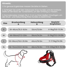LiebeDD Dog Harness with Lead for Medium Small Dogs Puppies, Colourful Colour Block Harness, Soft Padded Safety Harness Dog with Handle, Reflective & Lightweight, Black + Red, M