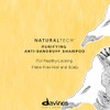 Davines Purifying Shampoo | Shampoo anti caspa |250 ml