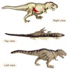 4D Vision Dinosaur Anatomy Model - Interactive Dinosaur Skeleton &