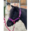 POLKA DOT HEADCOLLAR WITH LEAD ROPE FULL-MINI SHETLAND (Raspberry, Pony)