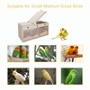 Tfwadmx Lovebird Nesting Box Transparent Bird Nest Box Wood Bird