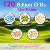 Innate Vitality Women's Probiotics, 120 Billion CFU, 32 Tested Strains,