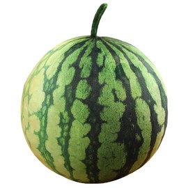 Watermelon Fruit Pillow Soft Pillow Cute Food Throw Pillow for Room Decor Home Decoration, Round Shape (9 * 9cm)