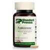 Ferrofood 150 Capsules
