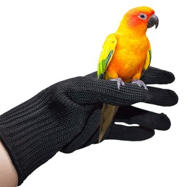 QBLEEV Bird Training Anti-Bite Gloves, Parrot Chewing Working Protective Gloves