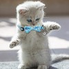 Dinosaur Cat Collar, Cute Dinosaur Bow Tie Cat Collar with