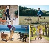 MingXpets Hands Free Dog Leash, Double Dog Leash, Waist Dog