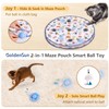 GoldenSun Interactive Cat Toys, Automatic Fast Rolling Ball in Pouch,