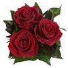 ROSEMARIE SCHULZ Heidelberg Infinity Rose Box White Round Preserved Flowers
