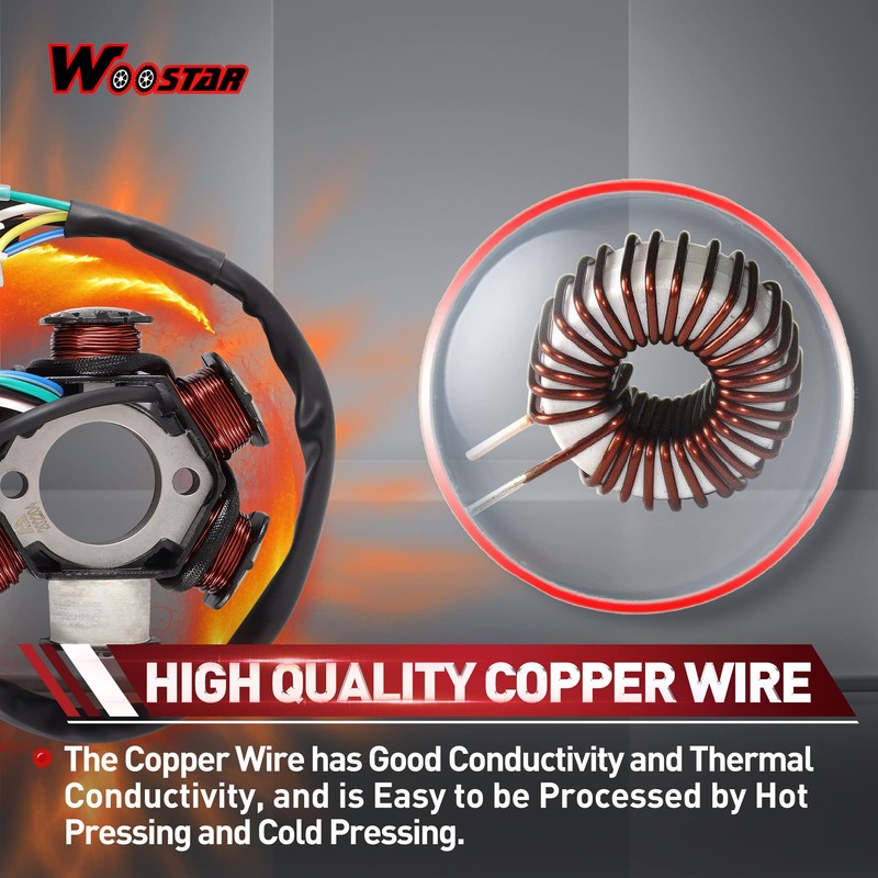 WOOSTAR 6 Coil 5 Wire Ignition Stator Magneto Replacement for