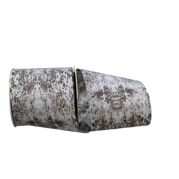 Reliant Ribbon Birch Bark Woods Rd Ribbon, 4 Inch X
