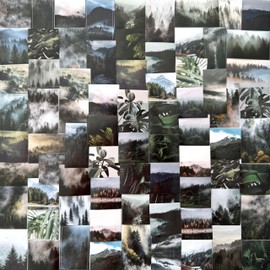 76PCS Vintage Forest Plants Stickers Scrapbook Supplies, Maxleaf 2 Boxes Mini Mountain Forest Leaves Collections Stickers for DIY Art Journaling Planners Laptops Crafts