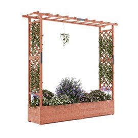 ExploreHorizon Wooden Elevated Garden Planter Box with Trellis, Sturdy Side Supports, Protective Canopy & 4 Drainage Holes,for Climbing Plants, Flowering Vines, Vegetables & Blossoms - Outdoor/Indoor