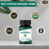 ORGANIC SPREE Moringa 120 Tablets | Moringa Oleifera (Drumstick Leaf)