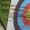 PATIKIL 8mm Archery Arrows Nocks, 60 Pcs Plastic Glue on