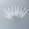 Quill Feathers White 12 Pk by PD