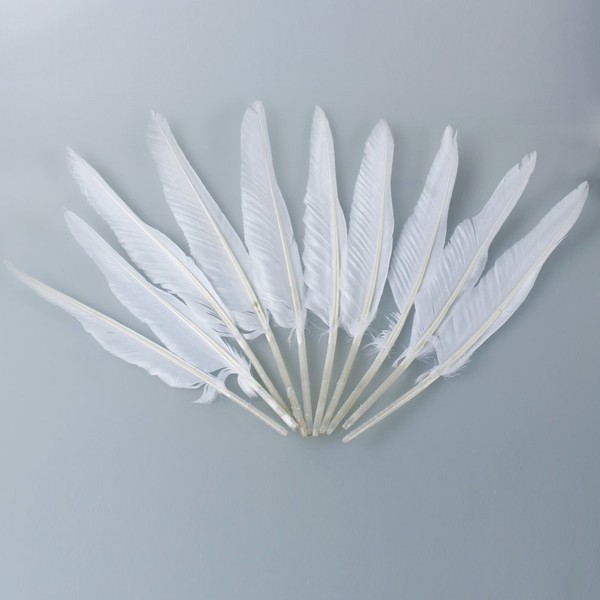 Quill Feathers White 12 Pk by PD