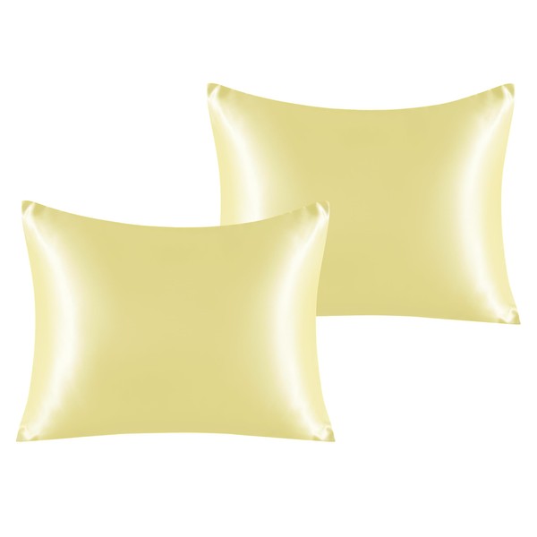 NTBAY 2 Pack Satin Standard Pillowcases for Hair and Skin,