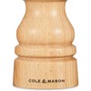 Cole & Mason London Refillable Spice Mill - Kitchen &