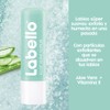 Labello Aloe Vera Bio e Vitamin E